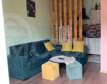 Apartments For Sale two-room 49м² 1/1 floor Tbilisi - photo 1