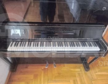 A keyboard instrument Tbilisi - photo 3