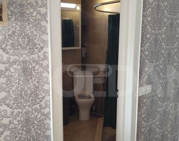 Apartments For Sale two-room 42м² 7/19 floor Tbilisi - photo 9