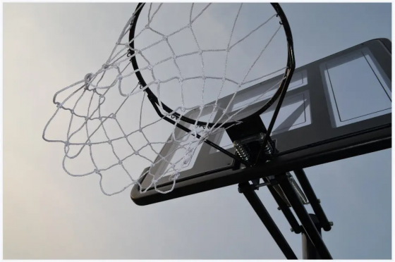 Basketball shield Tbilisi