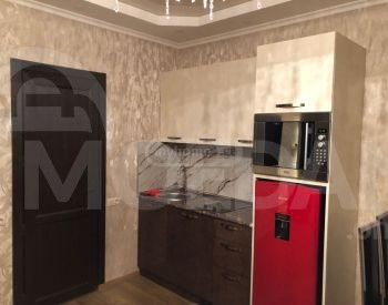 Apartments For Rent one-room 60м² 1/3 floor Tbilisi - photo 7