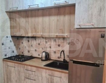 Apartments For Rent two-room 59м² 13/25 floor Tbilisi - photo 5