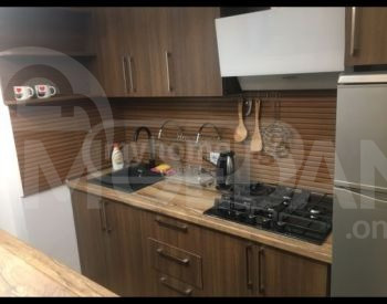 Apartments For Rent two-room 50м² 9/12 floor Tbilisi - photo 6