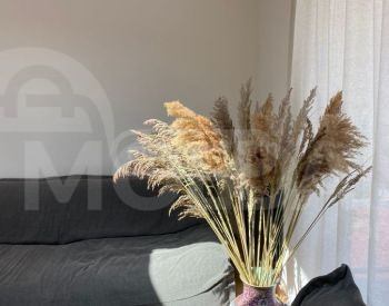 ქირავდება 2 ოთახიანი ბინა 65მ² 10/10 სართ თბილისი - photo 5