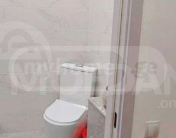 Apartments For Rent two-room 55м² 3/19 floor Tbilisi - photo 3