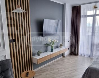 Apartments For Rent one-room 37м² 30/40 floor Tbilisi - photo 10
