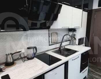 Apartments For Rent one-room 33м² 32/42 floor Tbilisi - photo 1