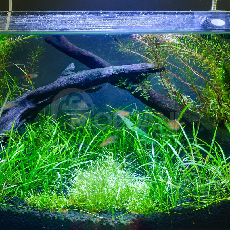 Прибор для измерения PH (кислотности) BW10 Тбилиси - изображение 9