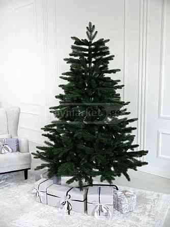 ნაძვის ხე "პოლარული" 190 სმ თბილისი