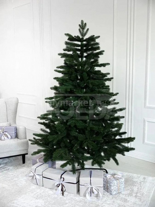 ნაძვის ხე "პოლარული" 190 სმ თბილისი - photo 1