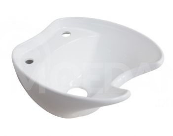 Раковина в изголовье Тбилиси - изображение 2