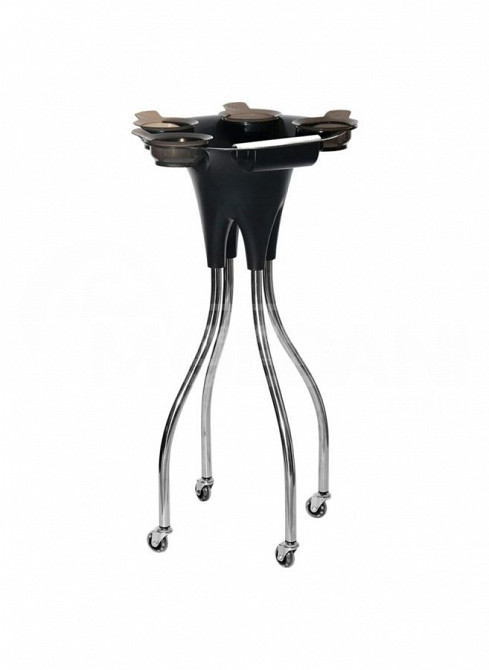 Stylist's paint cart Tbilisi - photo 1