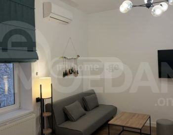 Apartments For Rent one-room 45м² 2/2 floor Tbilisi - photo 9