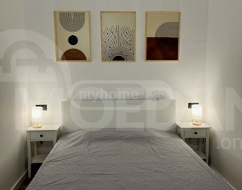 Apartments For Rent one-room 45м² 2/2 floor Tbilisi - photo 7