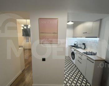 Apartments For Rent one-room 45м² 2/2 floor Tbilisi - photo 4