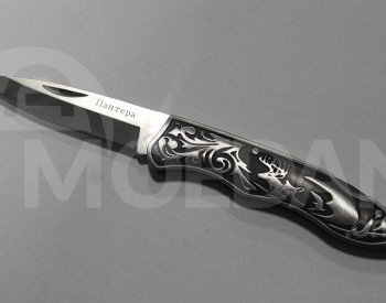 Ножи Дана Пантера Охотничья экспедиция Дана Данеби Тбилиси - изображение 1