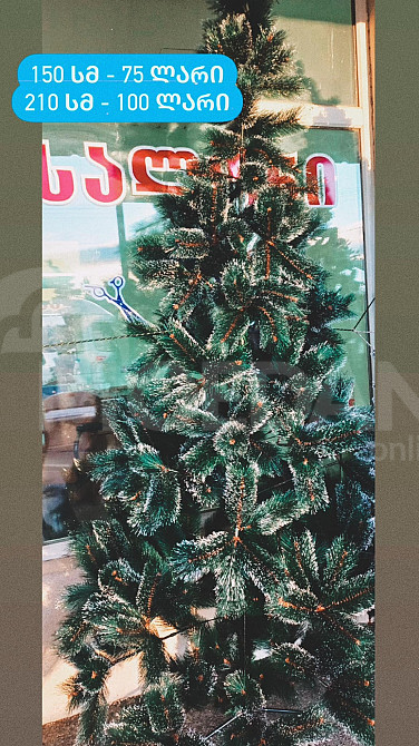 ულამაზესი ნაძვის ხეები თბილისი - photo 1