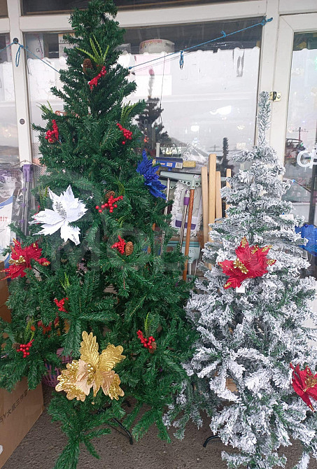 A great selection of Christmas trees at the best price Tbilisi - photo 1