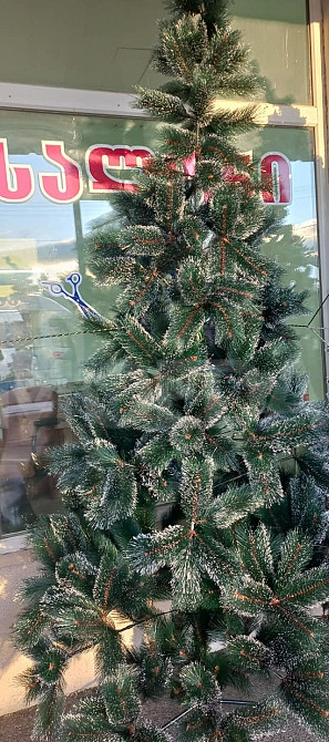 A great selection of Christmas trees at the best price Tbilisi - photo 1