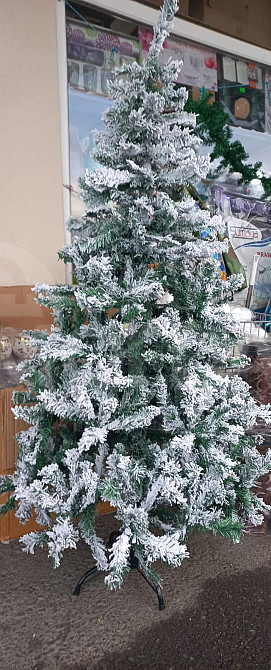 ნაძვისხეები დიდი არჩევანი საუკეთესო ფასად თბილისი - photo 1