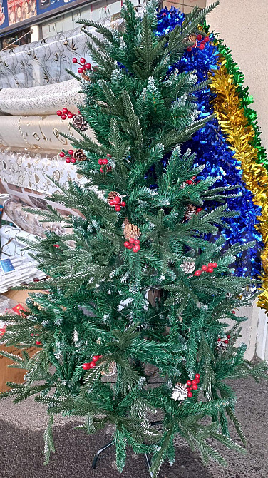 ნაძვისხეები დიდი არჩევანი საუკეთესო ფასად თბილისი - photo 1