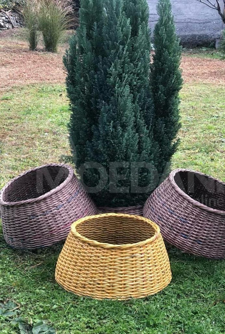 იყიდება ნაძვის ხის კაბა თბილისი - photo 1