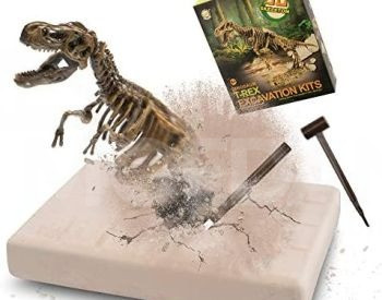 Археологические раскопки динозавра Dinosa Тбилиси - изображение 4