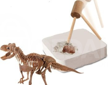 Археологические раскопки динозавра Dinosa Тбилиси - изображение 1