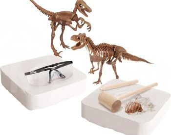 Археологические раскопки динозавра Dinosa Тбилиси - изображение 3