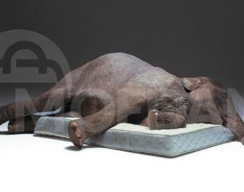 Матрас в наличии, доставка бесплатная! любого размера Тбилиси - изображение 3