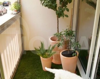 ქირავდება 3 ოთახიანი ბინა 125მ² 7/7 სართ თბილისი - photo 7