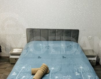 ქირავდება 1 ოთახიანი ბინა დღიურად თბილისში  30მ² 3/13 სართ თბილისი - photo 7