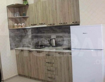 Квартира в новостройке в посуточную аренду в Бакуриани Тбилиси - изображение 4