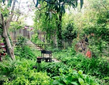  Тбилиси - изображение 2