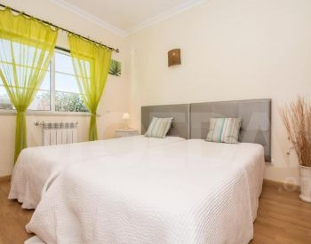  თბილისი - photo 4