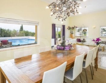  თბილისი - photo 9