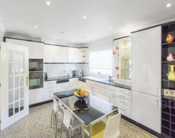  თბილისი - photo 3