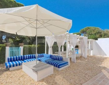  თბილისი - photo 7