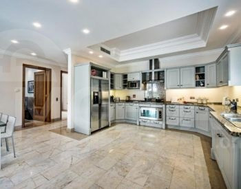  თბილისი - photo 10