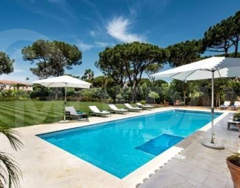  თბილისი - photo 3