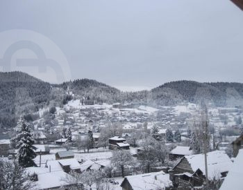 ქირავდება დღიურად აგარაკი ბაკურიანში თბილისი - photo 8