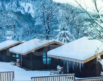  თბილისი - photo 4