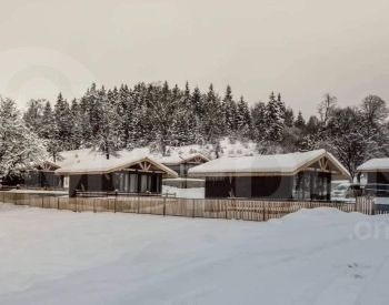  თბილისი - photo 5