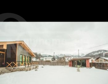  თბილისი - photo 6