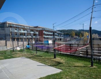  თბილისი - photo 3