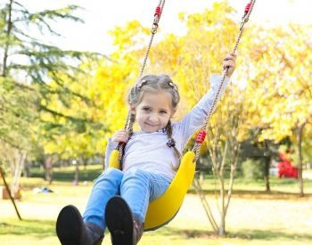 მაღალი ხარისხის საქანელა ეზოსთვის და (ტენდერებისთვის) თბილისი - photo 1