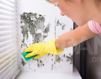 Метеостанция и блок мониторинга климата в помещении БЗ Тбилиси - изображение 7