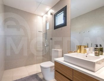  თბილისი - photo 4