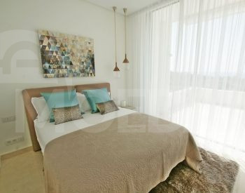  თბილისი - photo 6