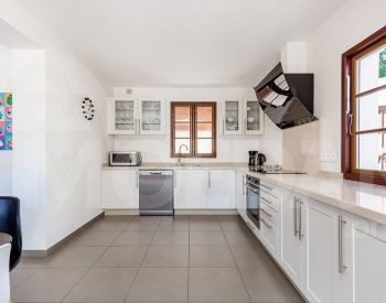  თბილისი - photo 7